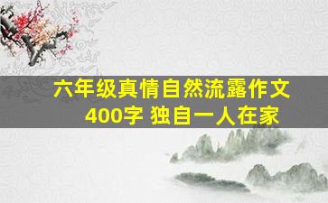 六年级真情自然流露作文400字 独自一人在家